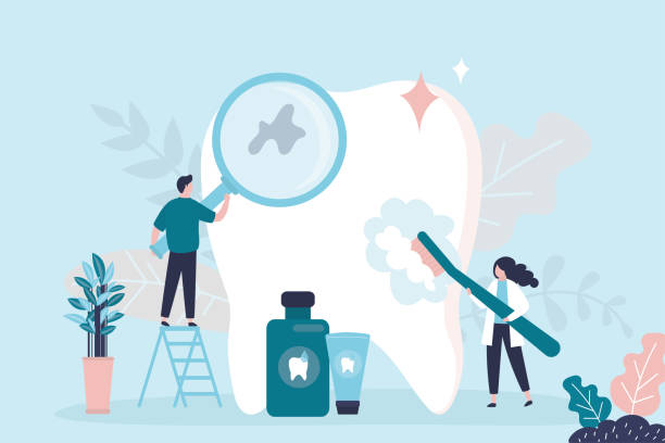 Best Dental Exams and Cleanings  in Bothell East, WA